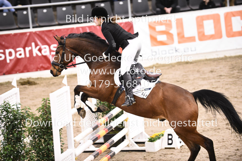 27012018---Team-Springen-A-L-M_054.jpg