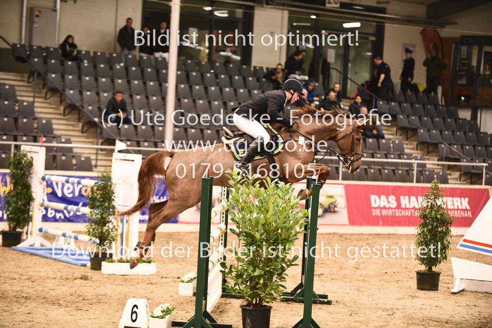 24012018--Youngster-M--_036.jpg