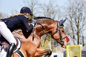 Springen M*