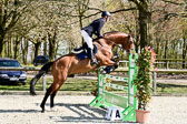 Springpferde L