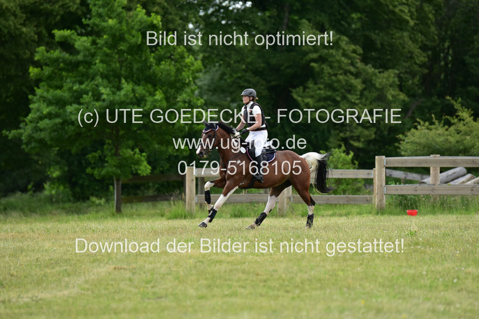 Stilgeländeritt-Kl-E-_002.jpg