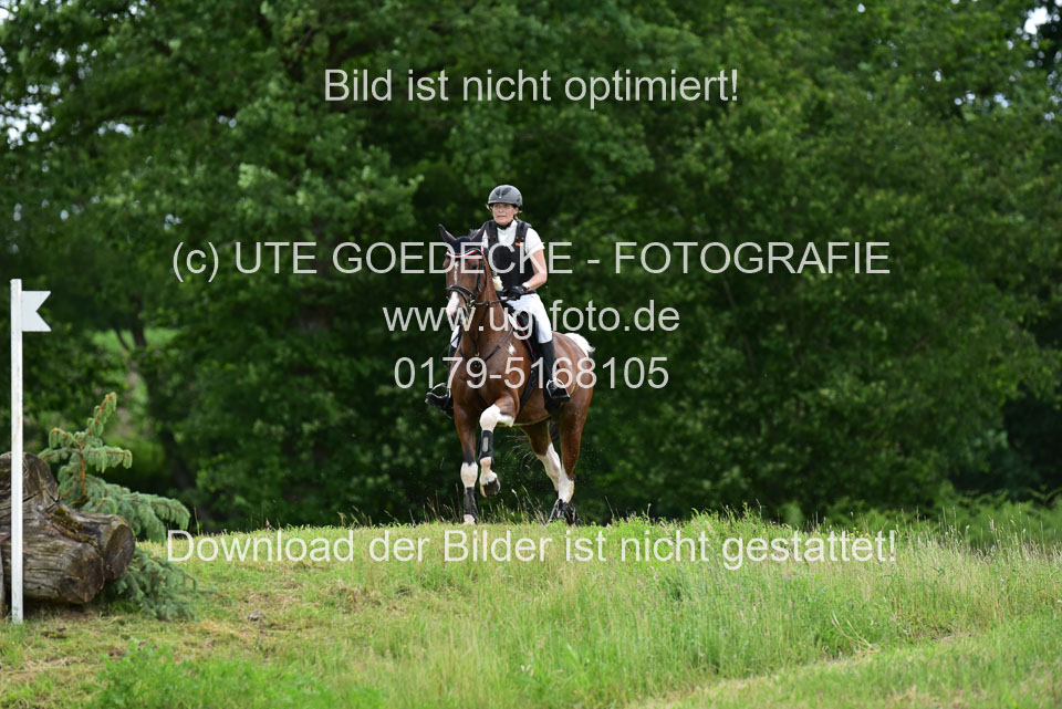 Stilgeländeritt-Kl-E-_003.jpg