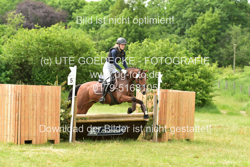 Stilgeländeritt-Kl-E-_024.jpg