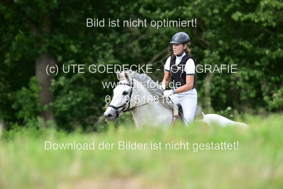 Stilgeländeritt-Kl-E-_045.jpg