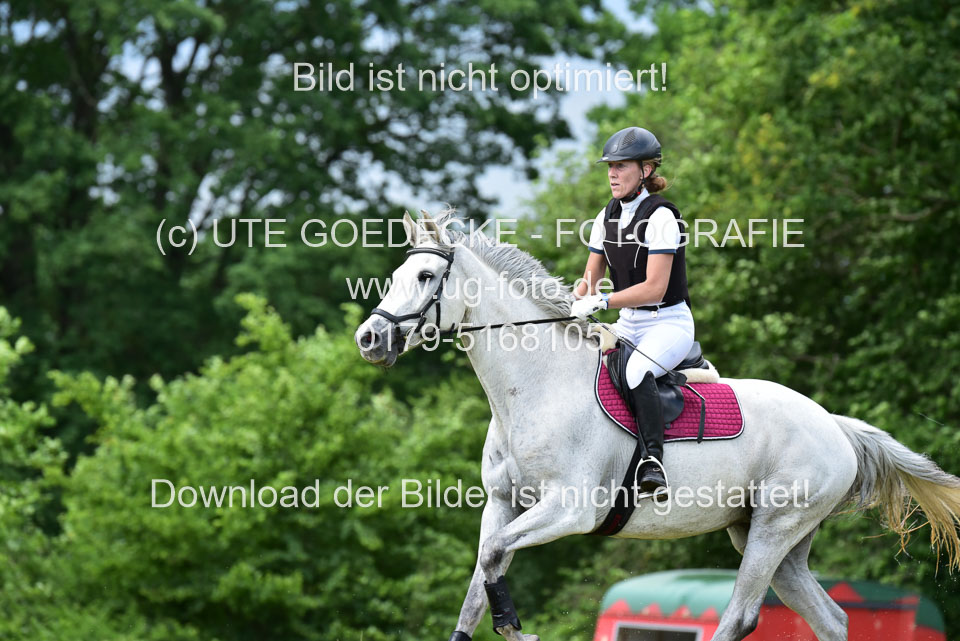 Stilgeländeritt-Kl-E-_047.jpg