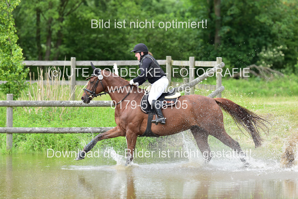Stilgeländeritt-Kl-E-_102.jpg