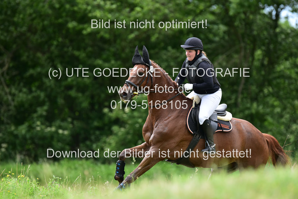 Stilgeländeritt-Kl-E-_103.jpg
