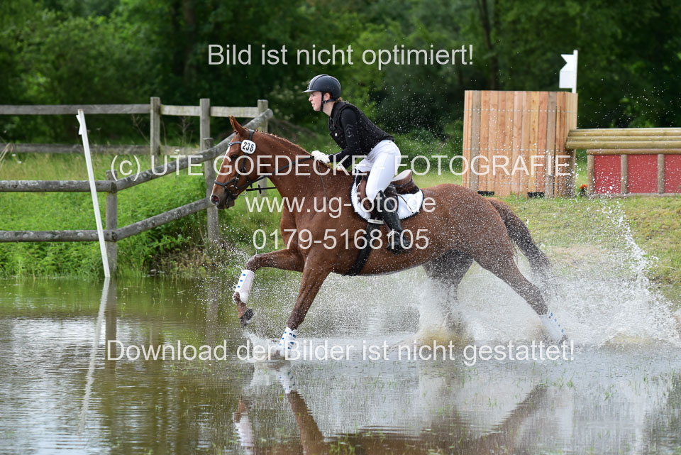 Stilgeländeritt-Kl-E-_113.jpg