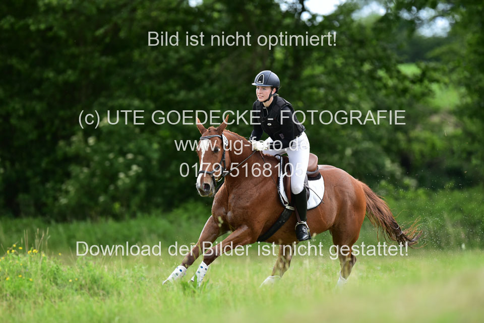 Stilgeländeritt-Kl-E-_116.jpg