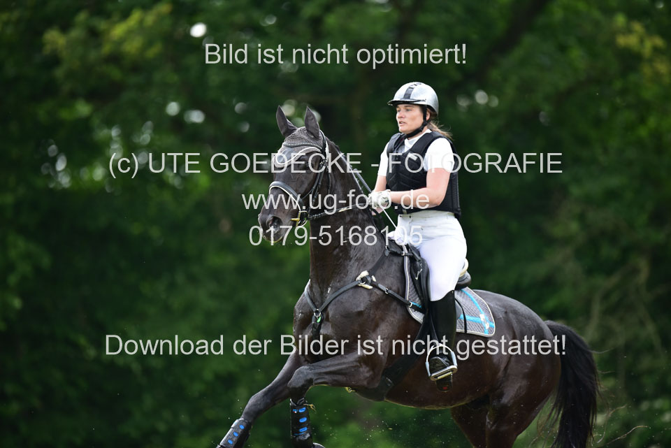 Stilgeländeritt-Kl-E-_133.jpg