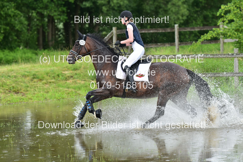 Stilgeländeritt-Kl-E-_144.jpg