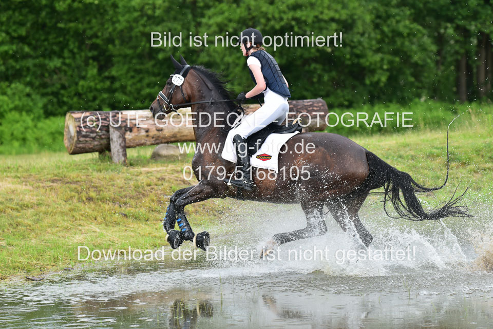 Stilgeländeritt-Kl-E-_145.jpg