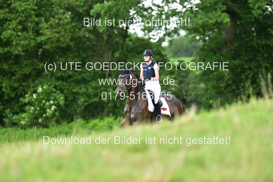 Stilgeländeritt-Kl-E-_147.jpg