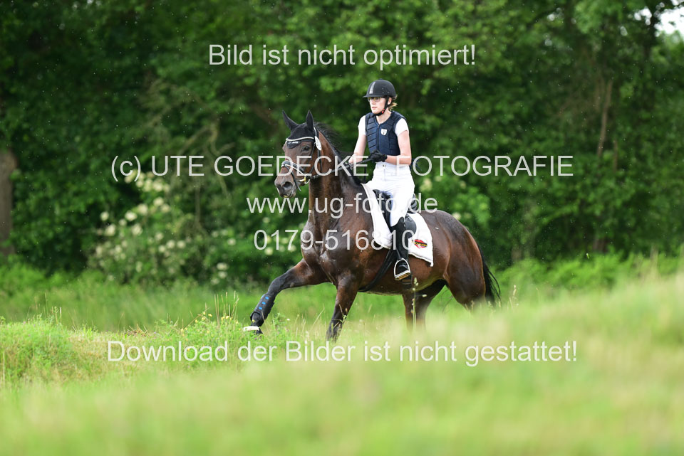 Stilgeländeritt-Kl-E-_148.jpg