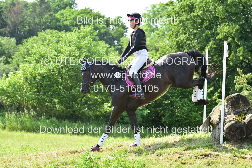 Stilgeländeritt-Kl-E-_176.jpg