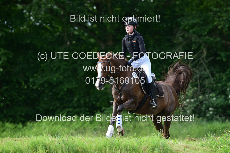 Stilgeländeritt-Kl-E-_185.jpg
