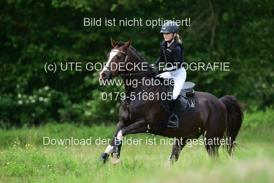 Stilgeländeritt-Kl-E-_258.jpg