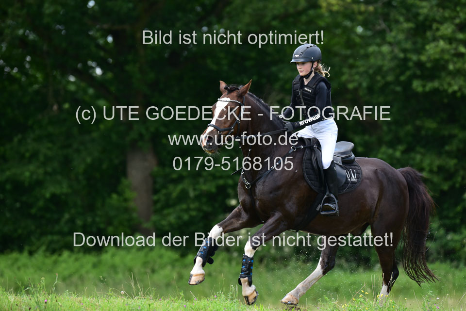 Stilgeländeritt-Kl-E-_259.jpg