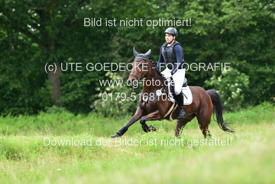 Stilgeländeritt-Kl-E-_285.jpg
