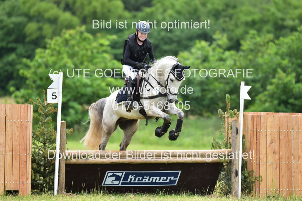 Stilgeländeritt-Kl-E-_290.jpg