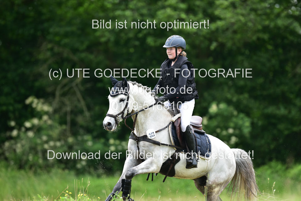 Stilgeländeritt-Kl-E-_300.jpg
