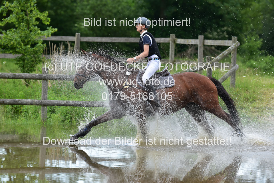 Stilgeländeritt-Kl-E-_310.jpg