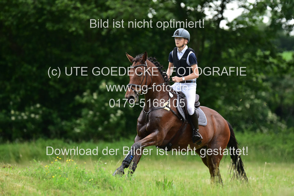 Stilgeländeritt-Kl-E-_313.jpg