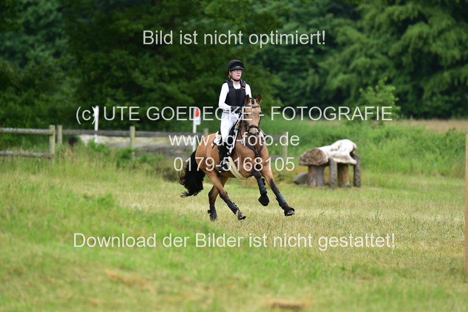 Stilgeländeritt-Kl-E-_315.jpg