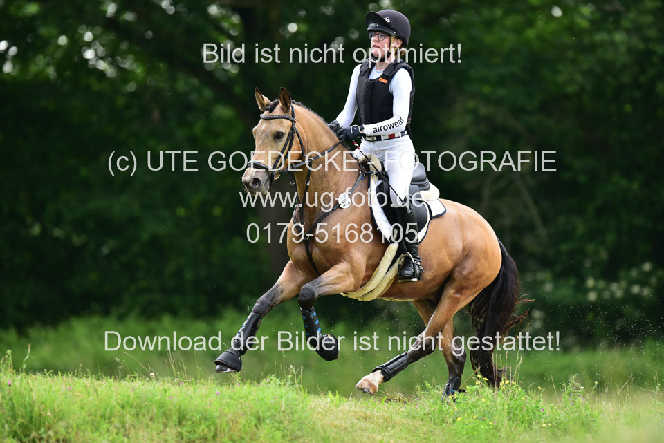 Stilgeländeritt-Kl-E-_325.jpg