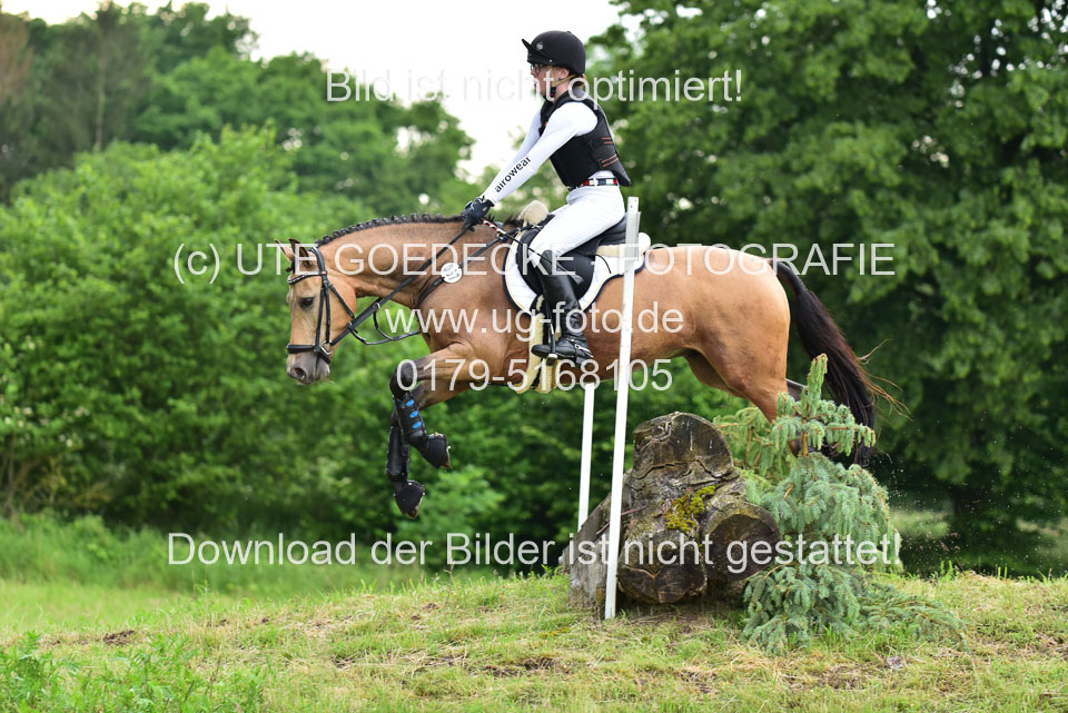 Stilgeländeritt-Kl-E-_326.jpg