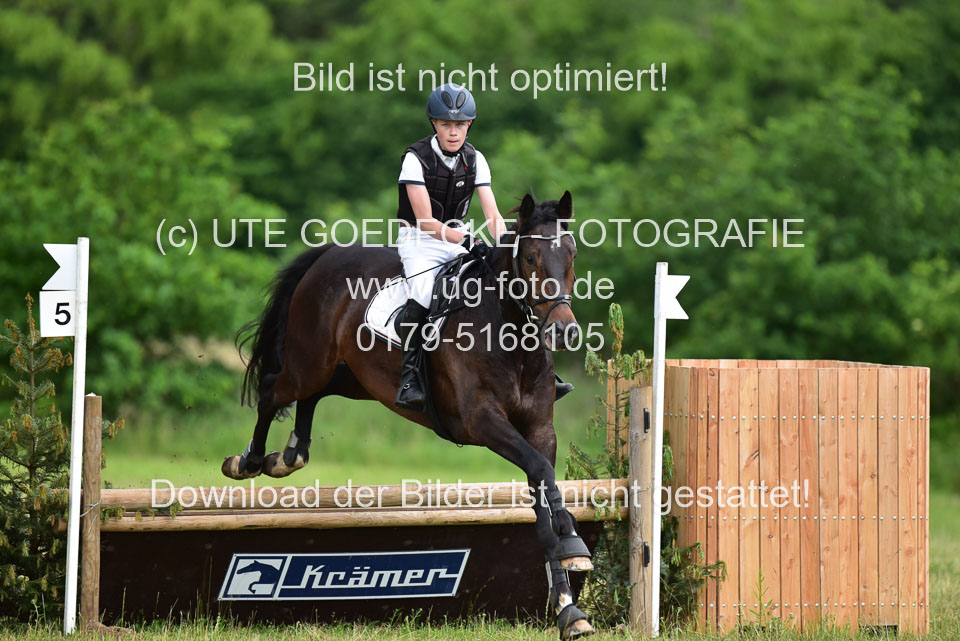 Stilgeländeritt-Kl-E-_330.jpg