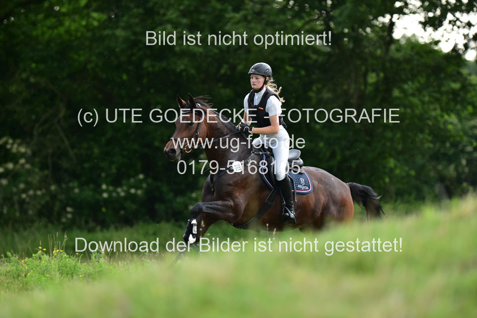 Stilgeländeritt-Kl-E-_354.jpg