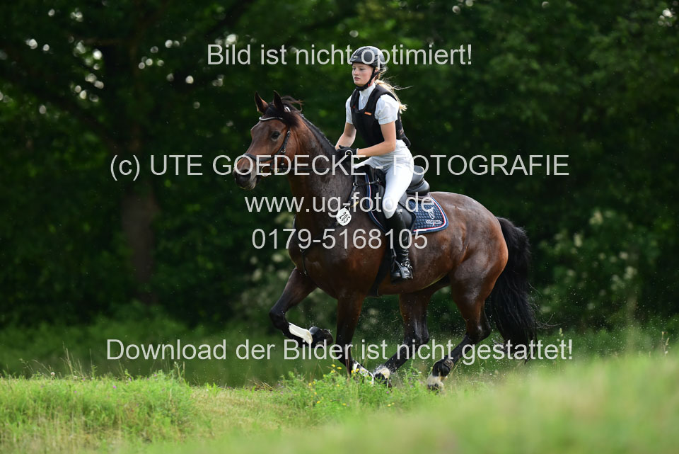 Stilgeländeritt-Kl-E-_355.jpg