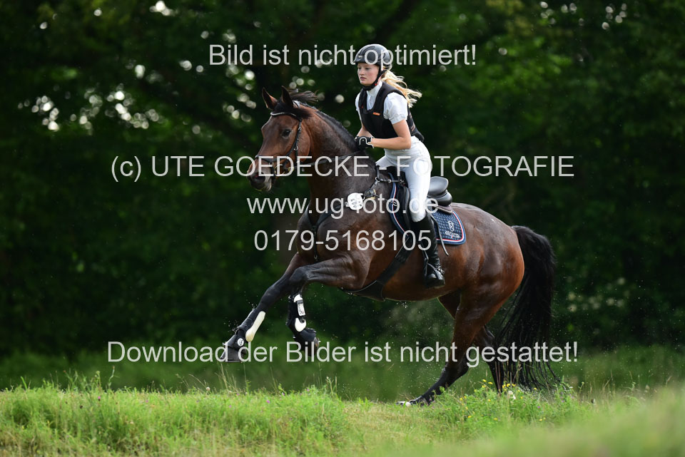 Stilgeländeritt-Kl-E-_356.jpg