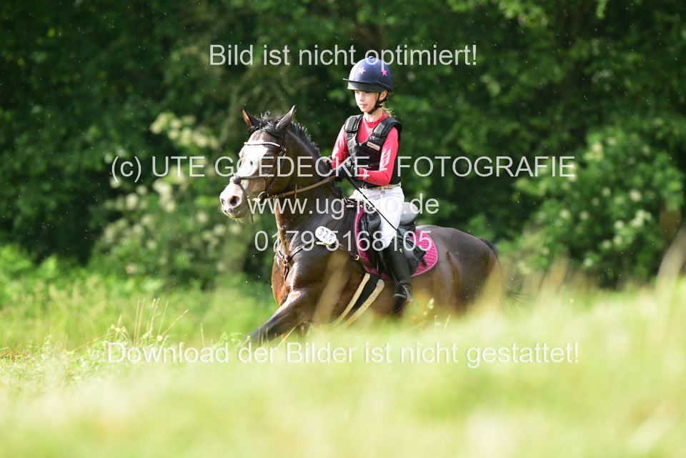 Stilgeländeritt-Kl-E-_375.jpg
