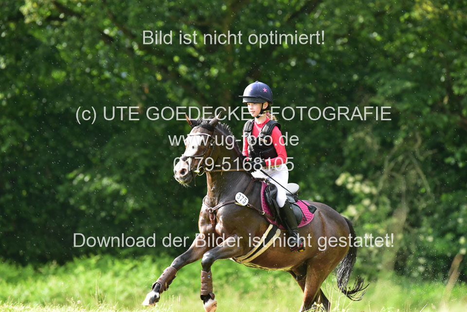 Stilgeländeritt-Kl-E-_376.jpg