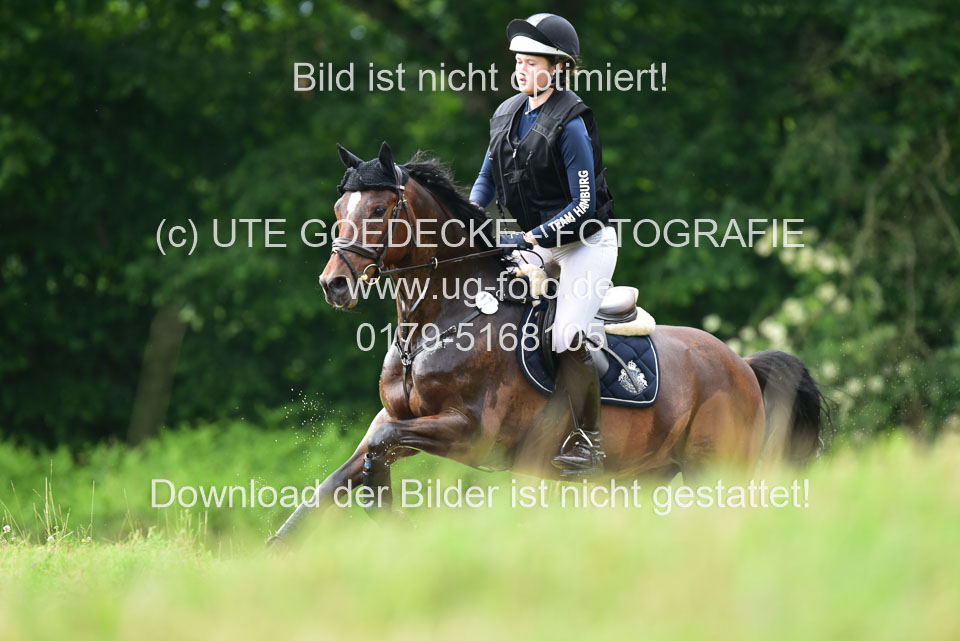Stilgeländeritt-Kl-E-_389.jpg