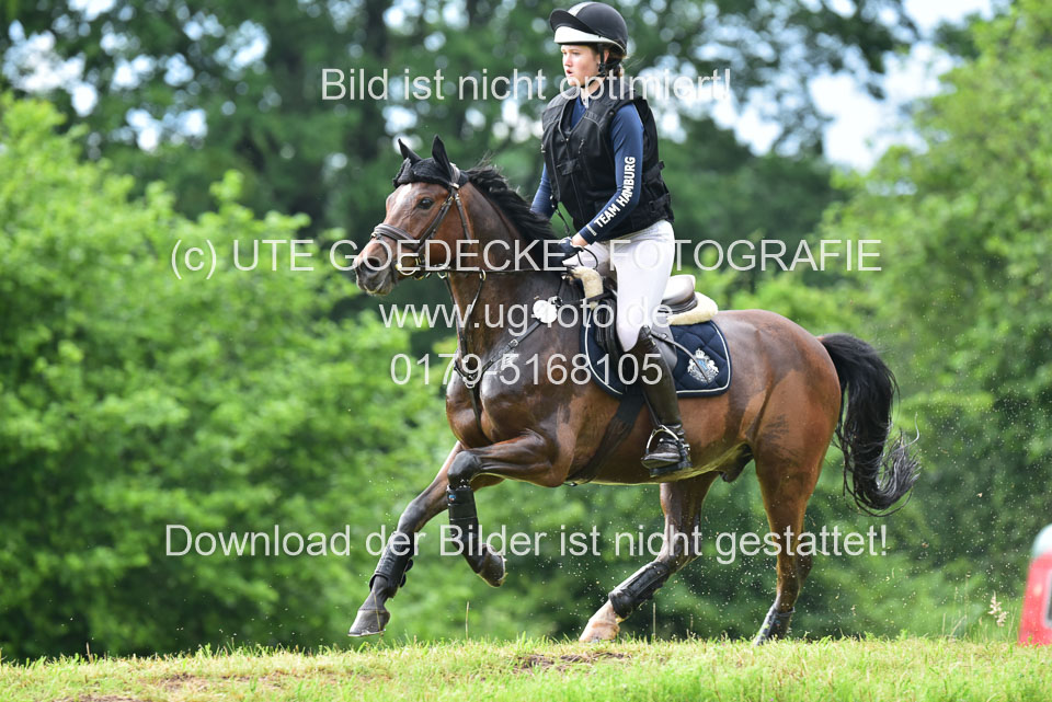 Stilgeländeritt-Kl-E-_391.jpg