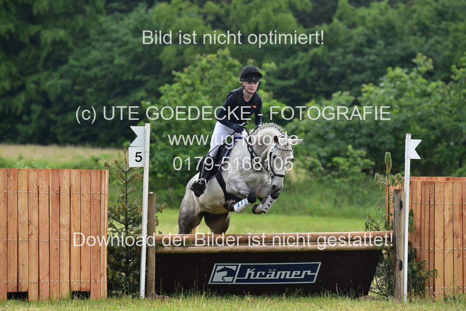 Stilgeländeritt-Kl-E-_393.jpg