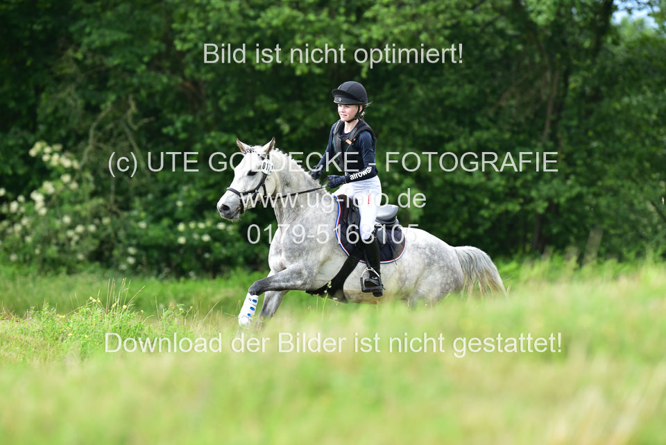 Stilgeländeritt-Kl-E-_405.jpg