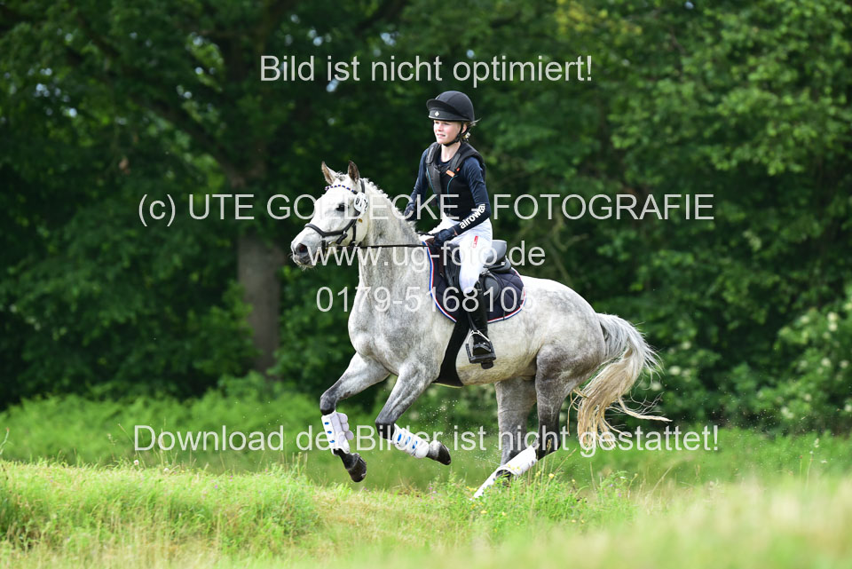 Stilgeländeritt-Kl-E-_406.jpg