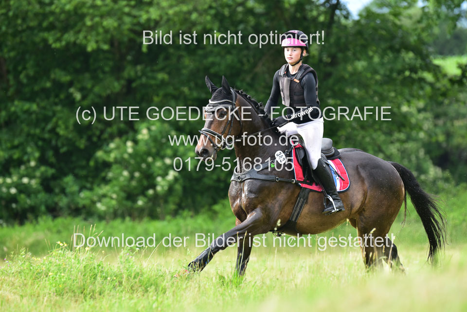 Stilgeländeritt-Kl-E-_421.jpg