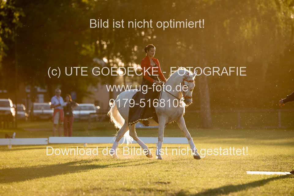 Bad-Segeberg-Show-_170.jpg