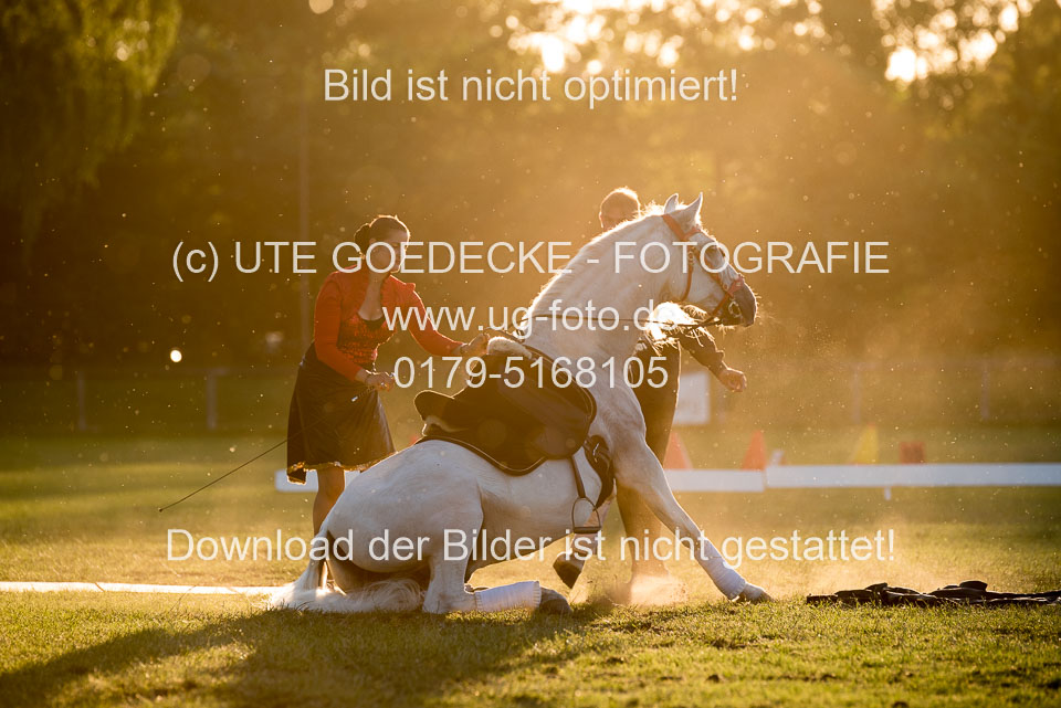 Bad-Segeberg-Show-_182.jpg