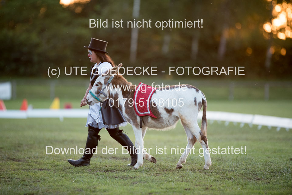 Bad-Segeberg-Show-_336.jpg