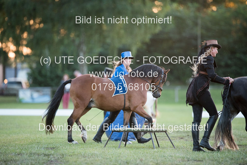 Bad-Segeberg-Show-_340.jpg