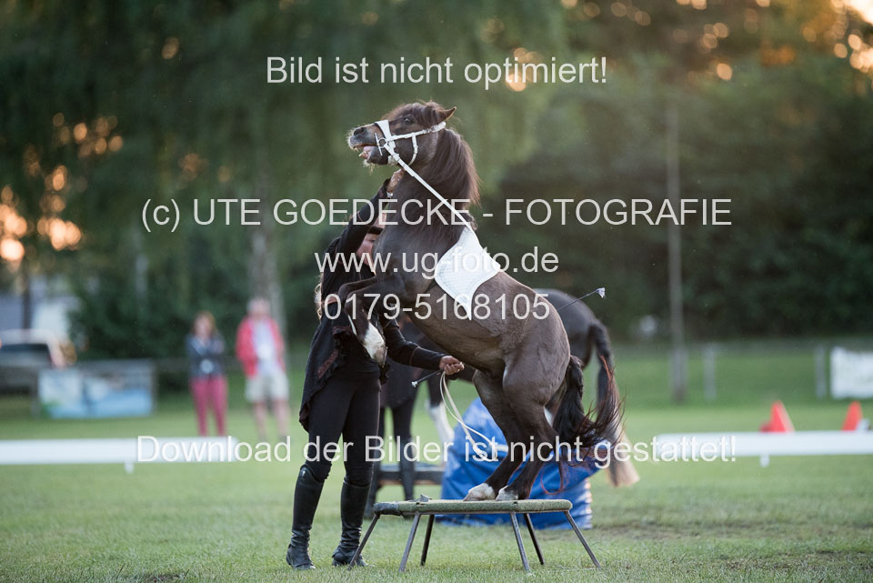 Bad-Segeberg-Show-_372.jpg