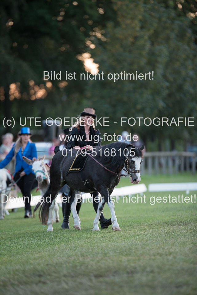 Bad-Segeberg-Show-_386.jpg