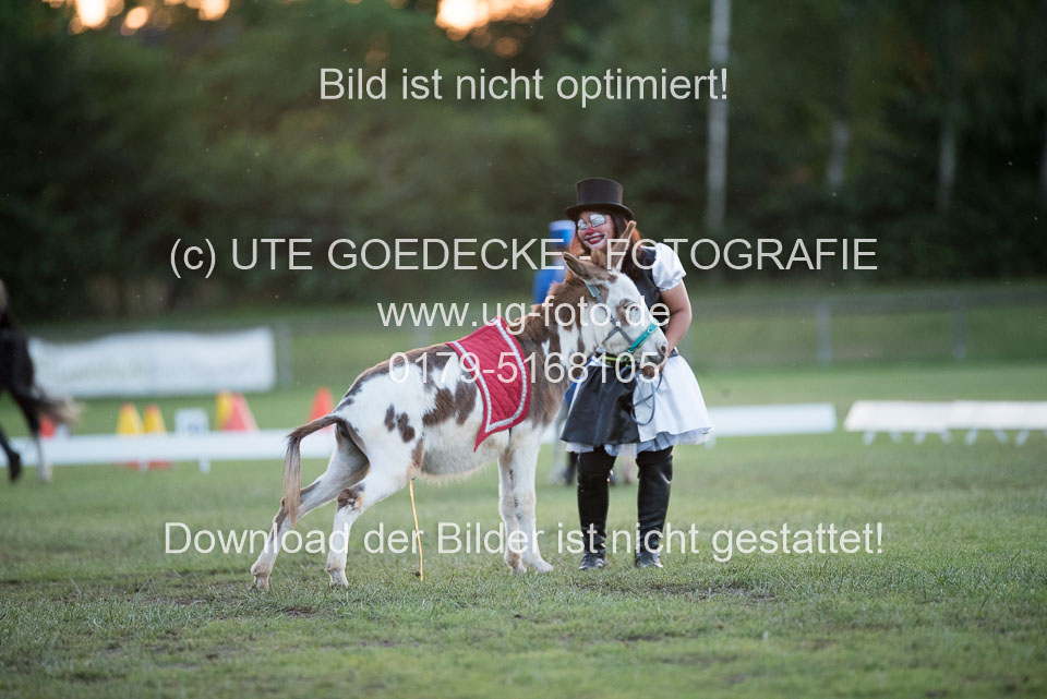 Bad-Segeberg-Show-_390.jpg