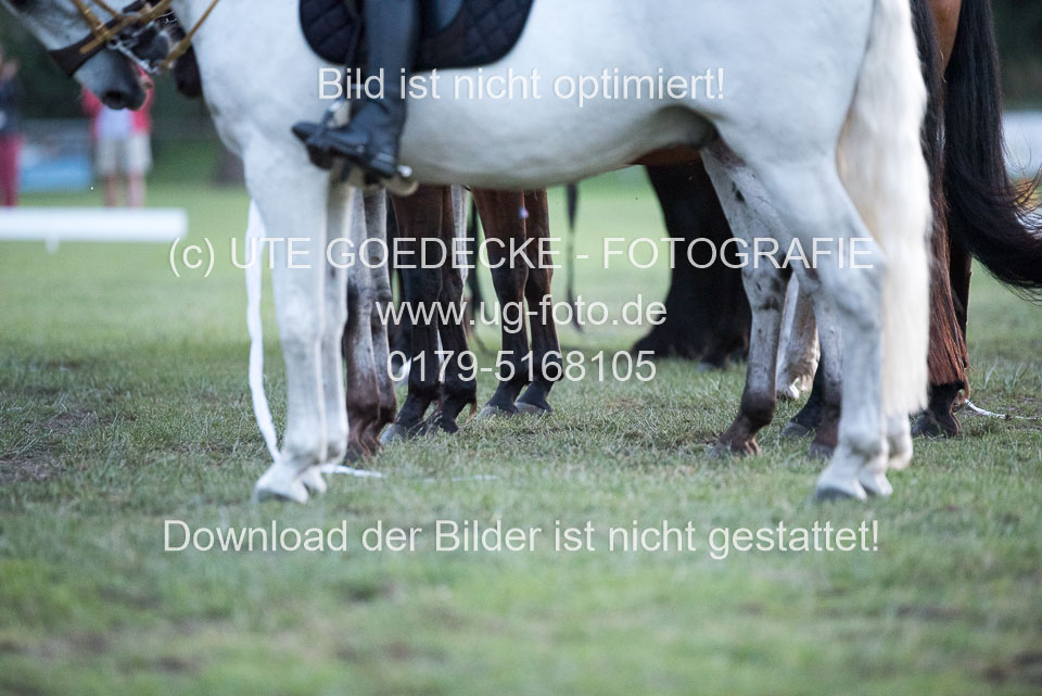 Bad-Segeberg-Show-_570.jpg